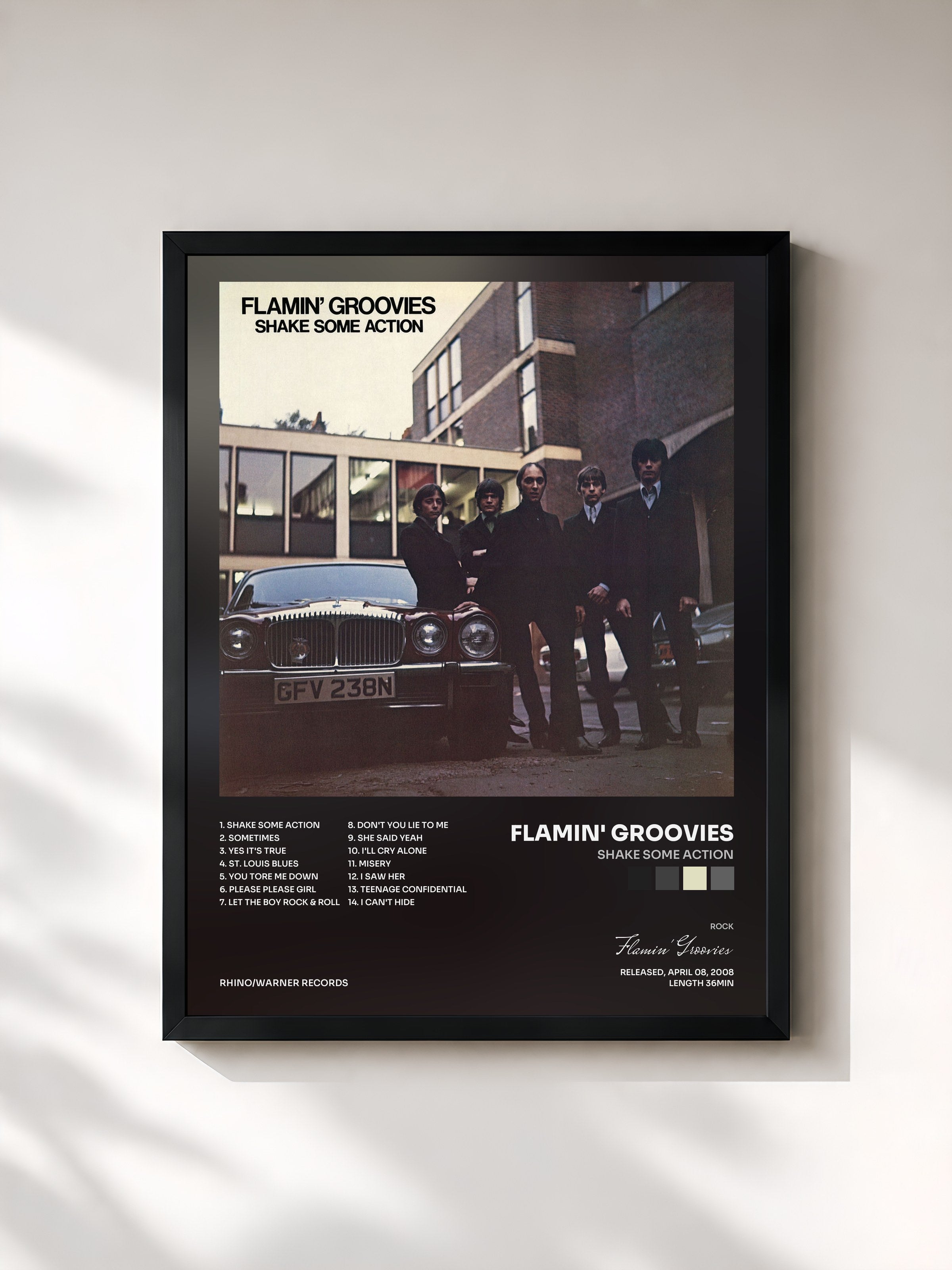 Flamin' Groovies · Shake Some Action