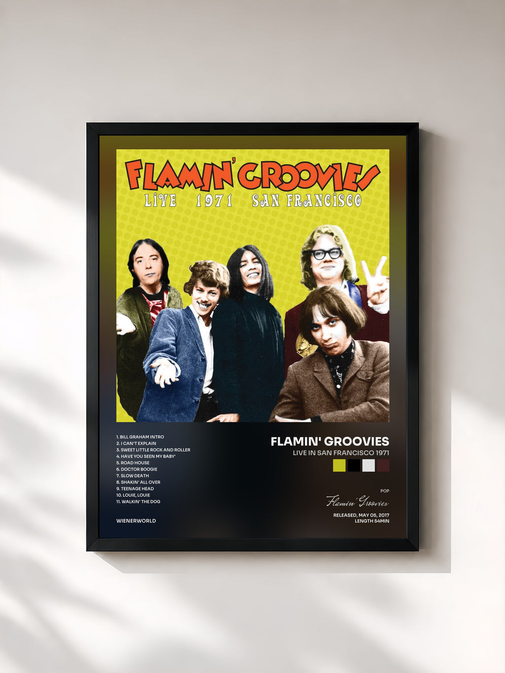 Flamin' Groovies · Live in San Francisco 1971