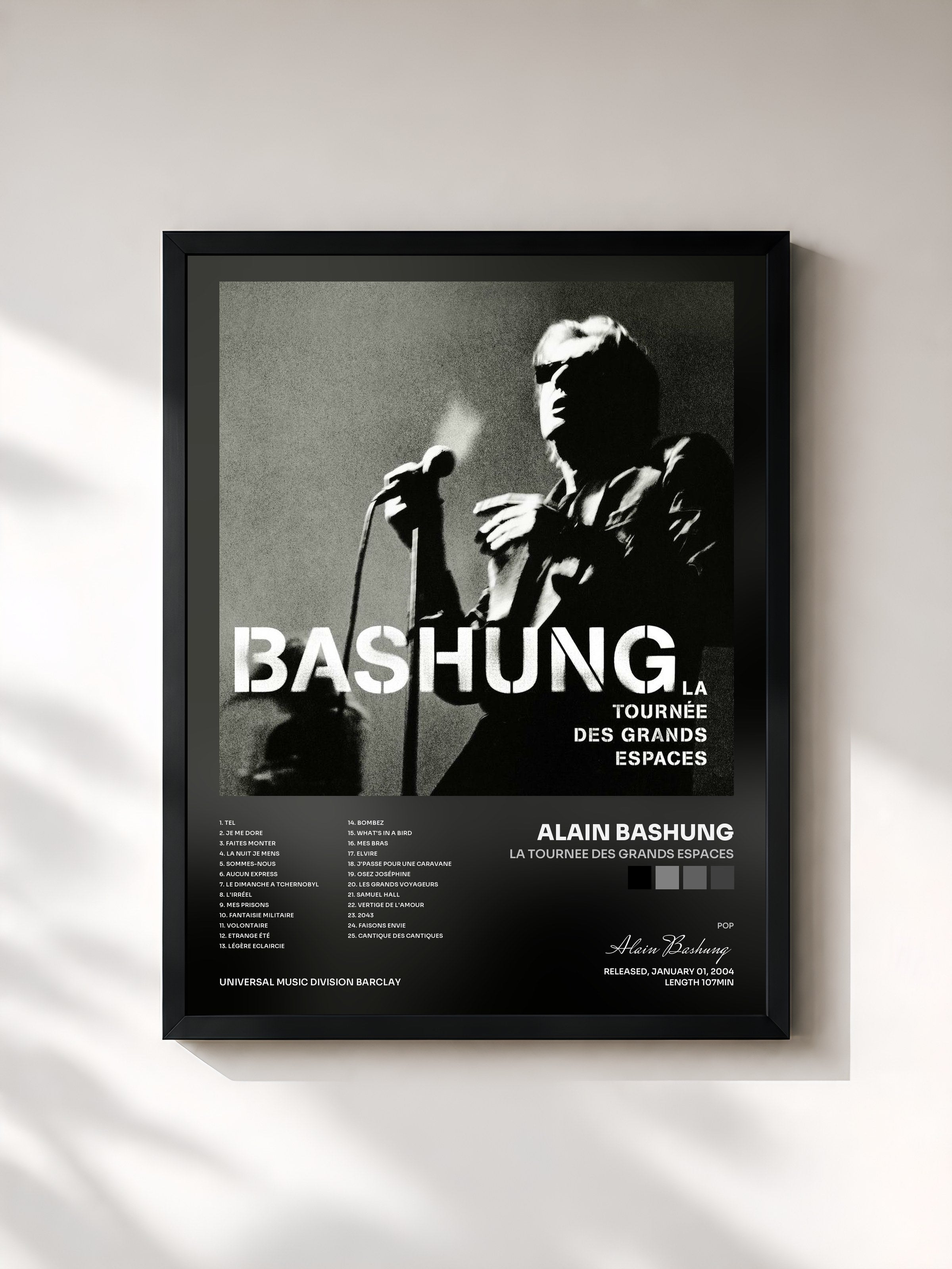 Alain Bashung · La Tournee Des Grands Espaces