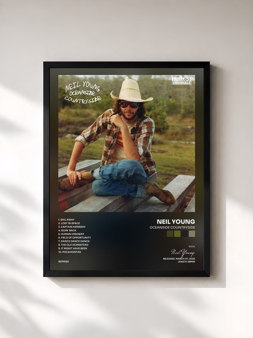 Neil Young · Oceanside Countryside