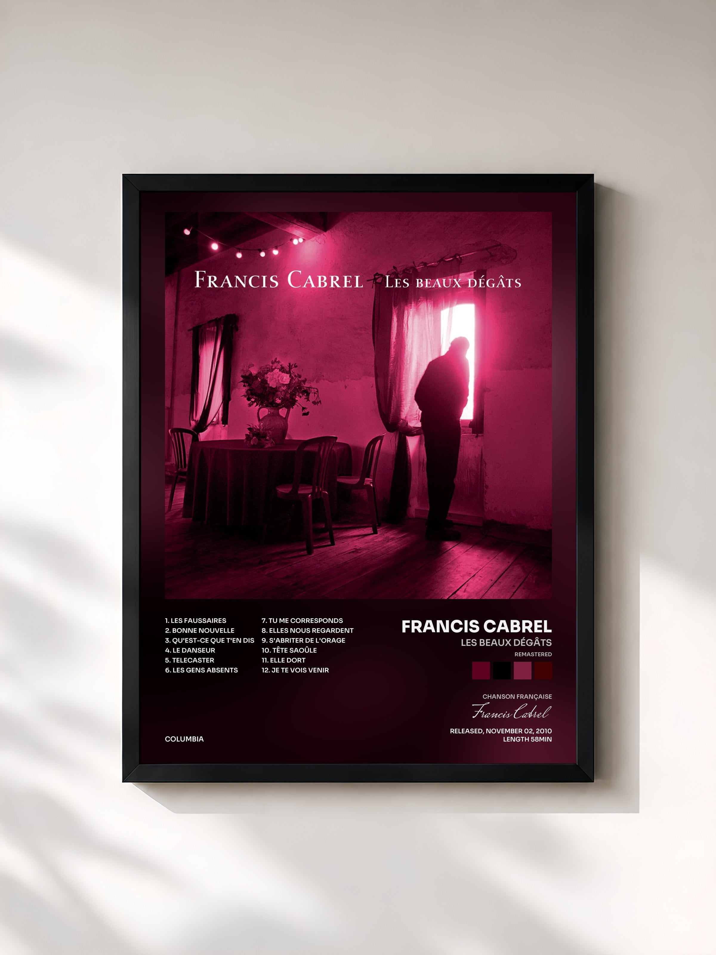 Francis Cabrel · Les beaux dégâts (Remastered)