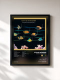 Stevie Wonder · Original Musiquarium