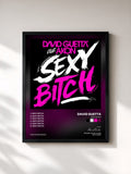 David Guetta · Sexy Bitch