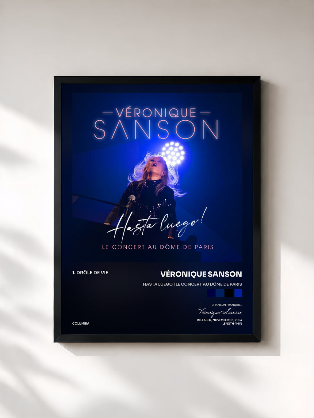 Véronique Sanson · Hasta Luego ! Le concert au Dôme de Paris