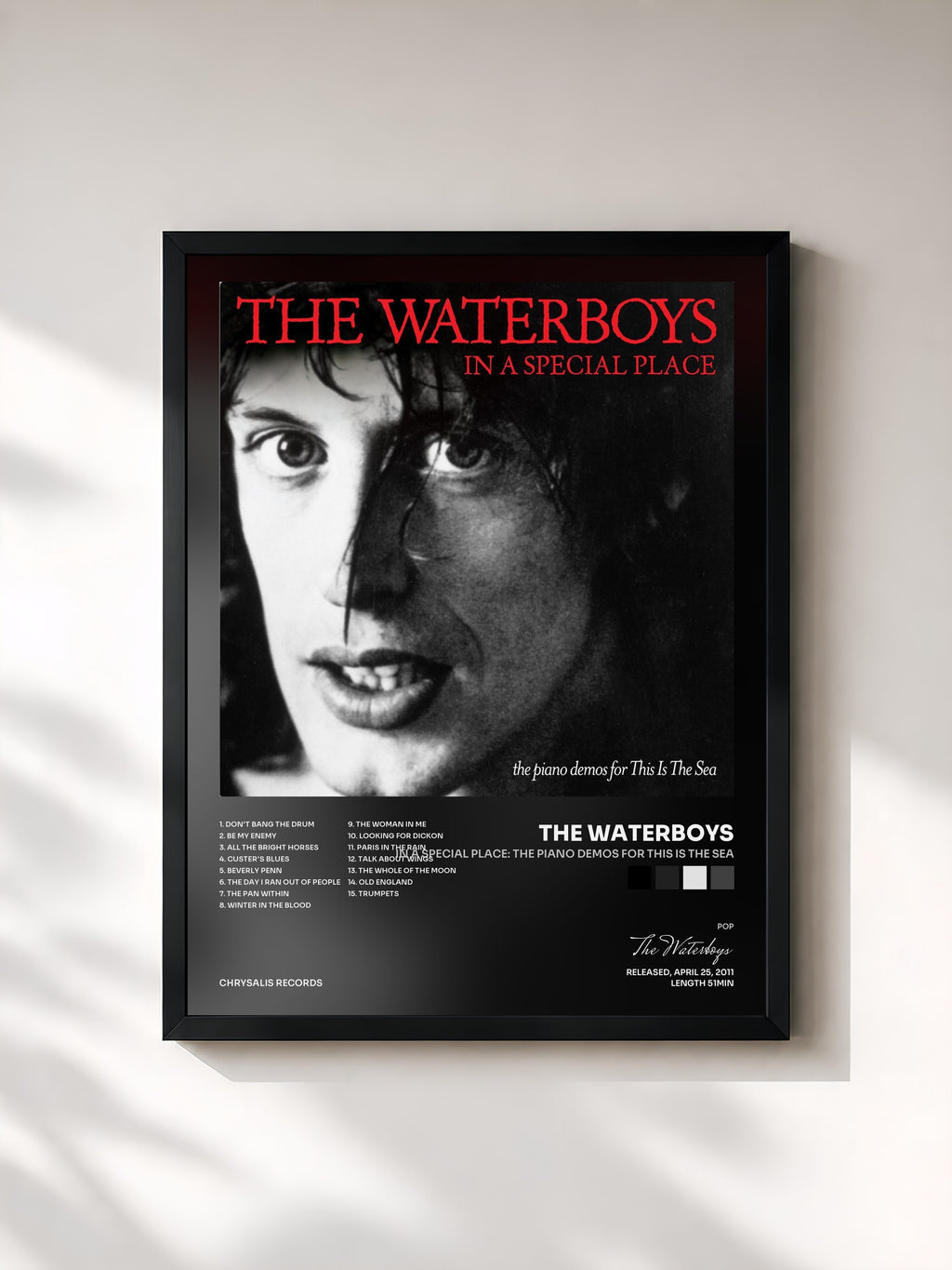 The Waterboys · In a Special Place: The Piano Demos for This Is the Sea