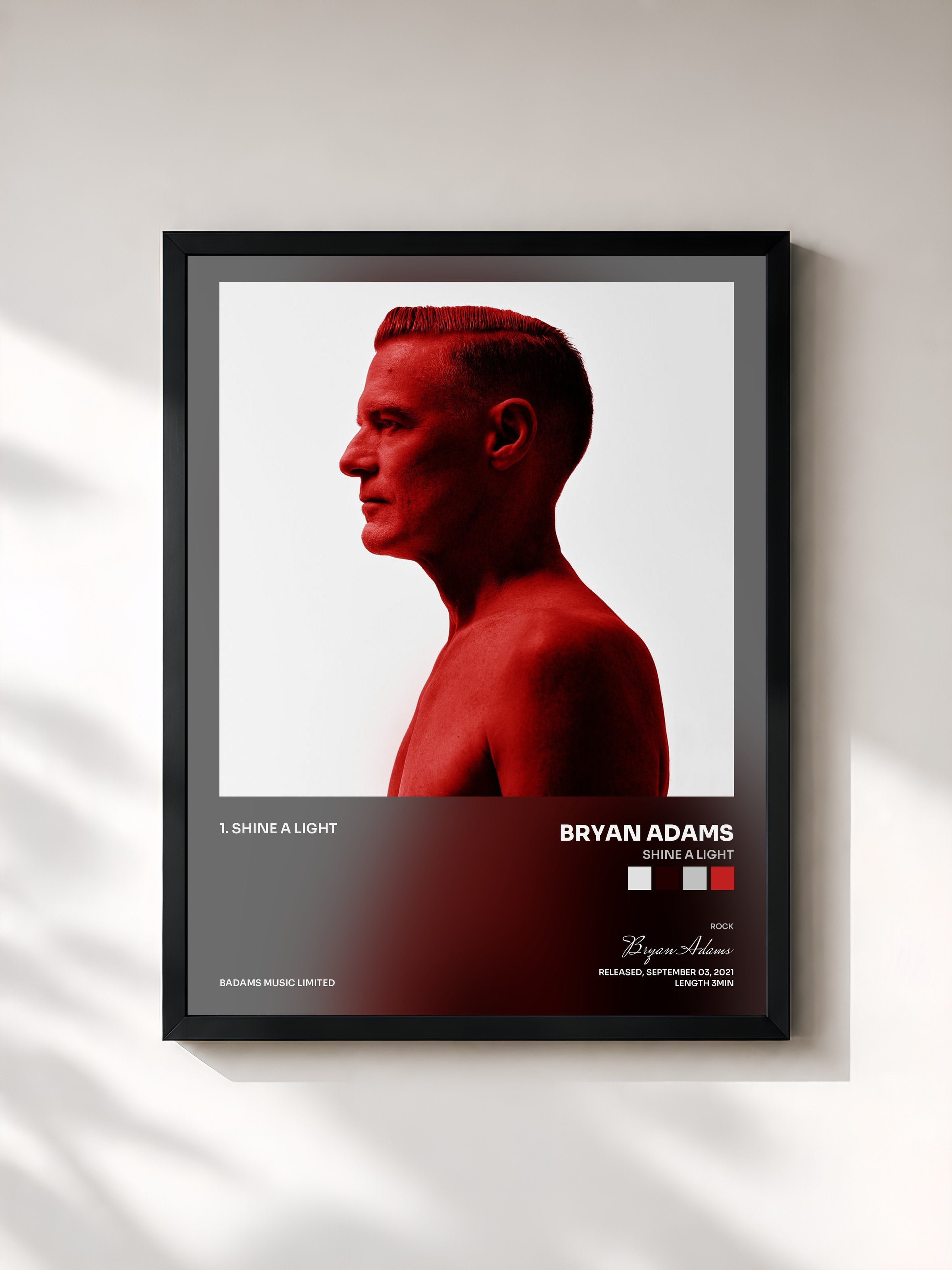 Bryan Adams · Shine A Light