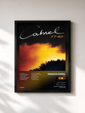Francis Cabrel · 77/87