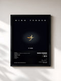 Nino Ferrer · 13è album