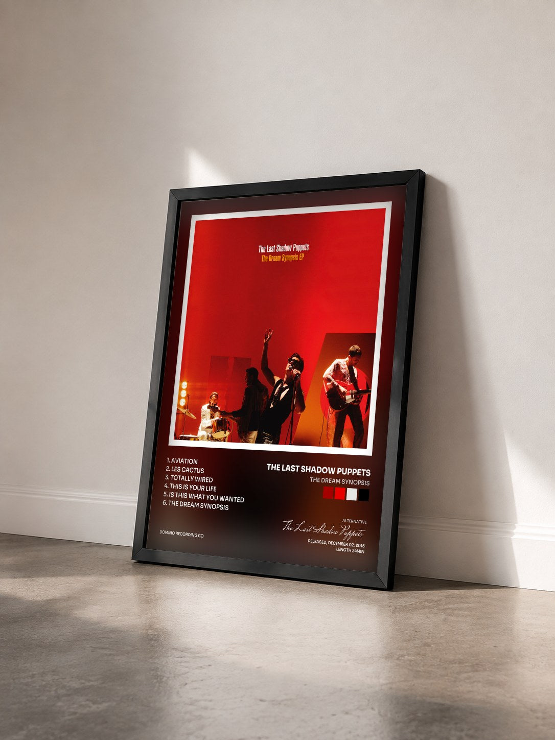 #noir Tableau de l'album The Dream Synopsis de The Last Shadow Puppets vu de trois quarts, cadre noir
