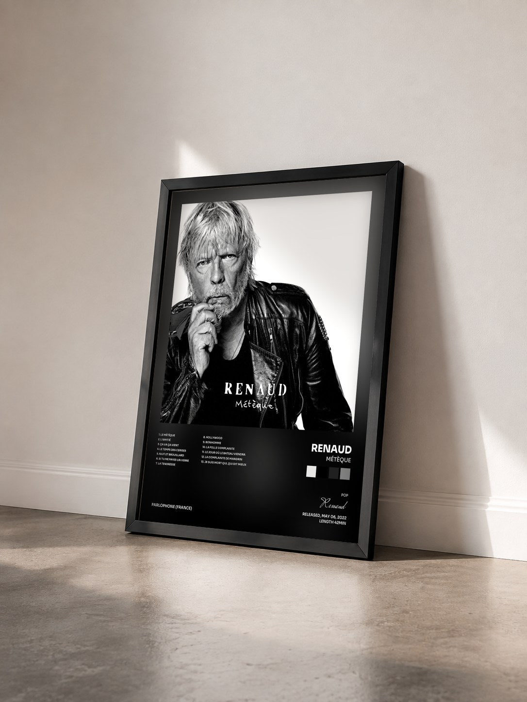 #noir Tableau de l'album Métèque de Renaud vu de trois quarts, cadre noir