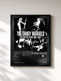 #noir Tableau de l'album The Capitol Years: 1995-2007 de The Dandy Warhols, cadre noir, imprimé et encadré en France