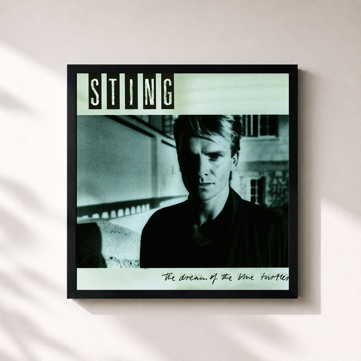 #noir The Dream Of The Blue Turtles by Sting as a square framed art print, black 32x32 cm frame