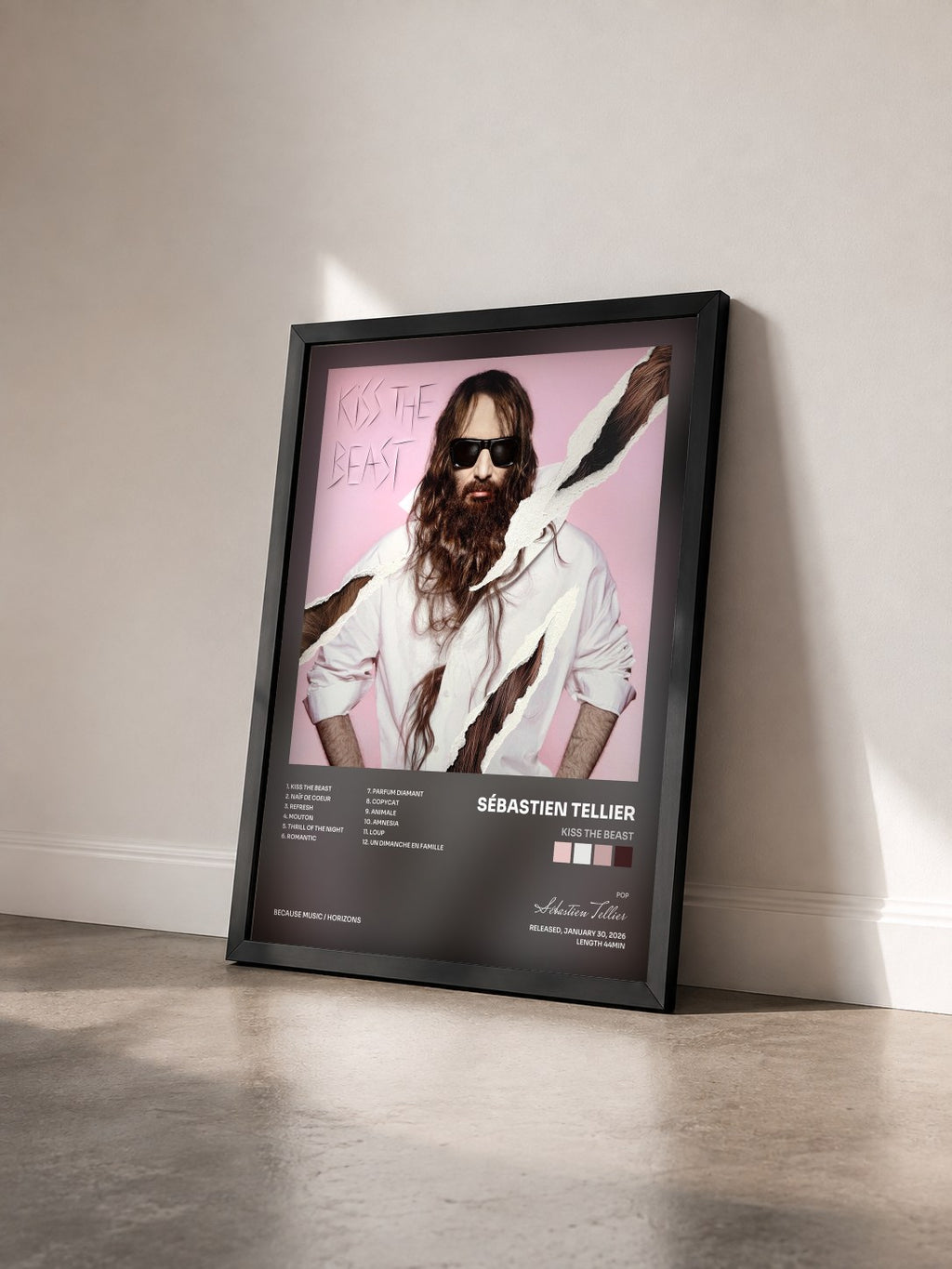 #noir Tableau de l'album Kiss The Beast de Sébastien Tellier vu de trois quarts, cadre noir