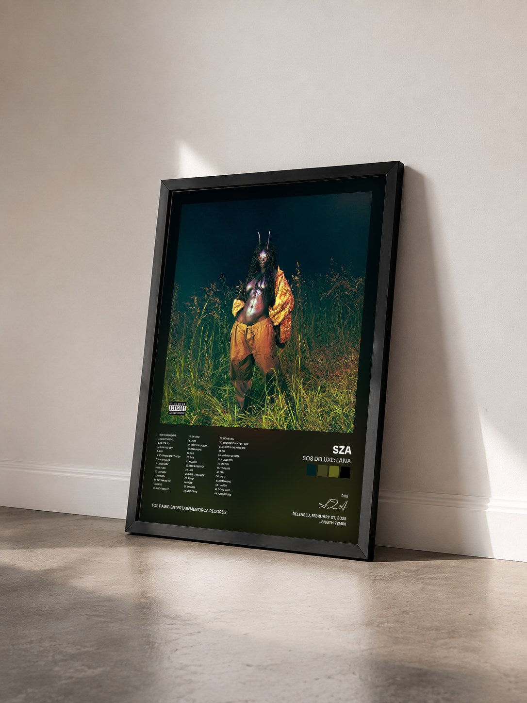 #noir Tableau de l'album SOS Deluxe: LANA de SZA vu de trois quarts, cadre noir