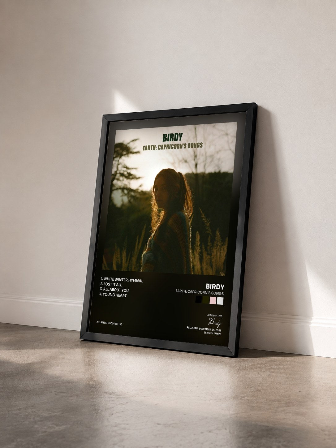 #noir Tableau de l'album Earth: Capricorn's Songs de Birdy vu de trois quarts, cadre noir
