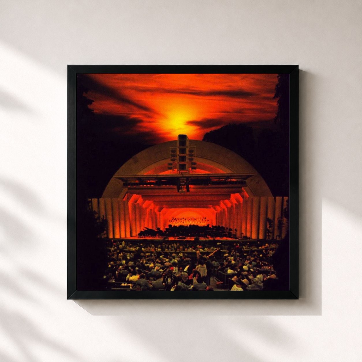 #noir Tableau carré de l'album At Dawn de My Morning Jacket, cadre noir 32x32 cm