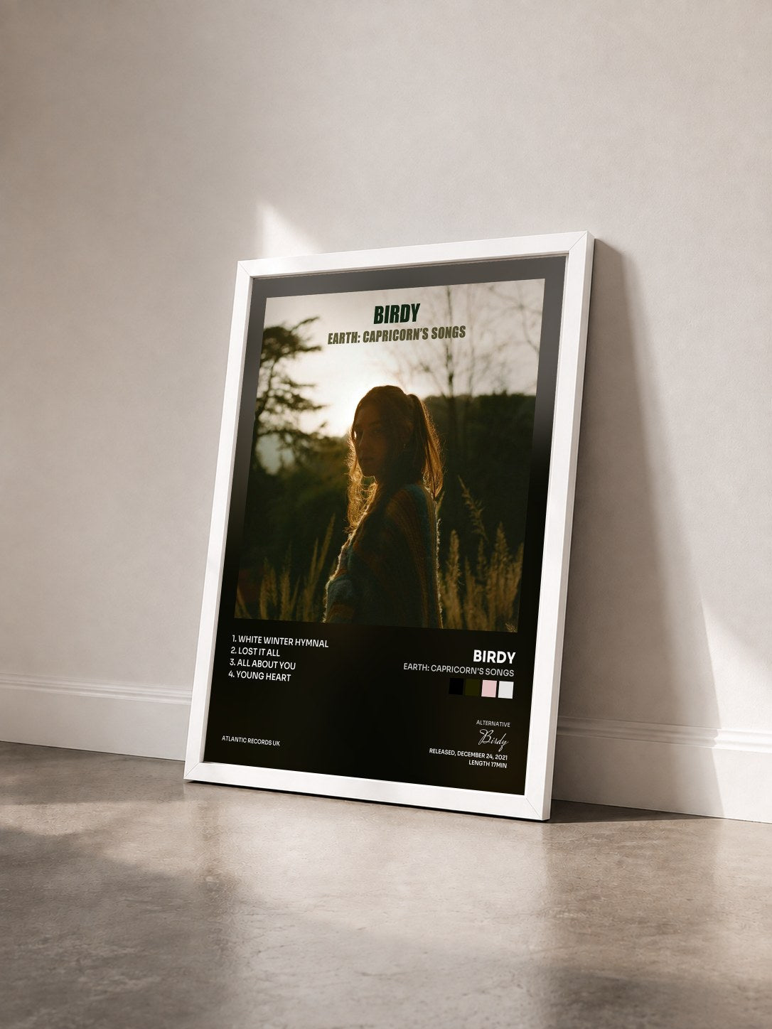 #blanc Tableau de l'album Earth: Capricorn's Songs de Birdy vu de trois quarts, cadre blanc