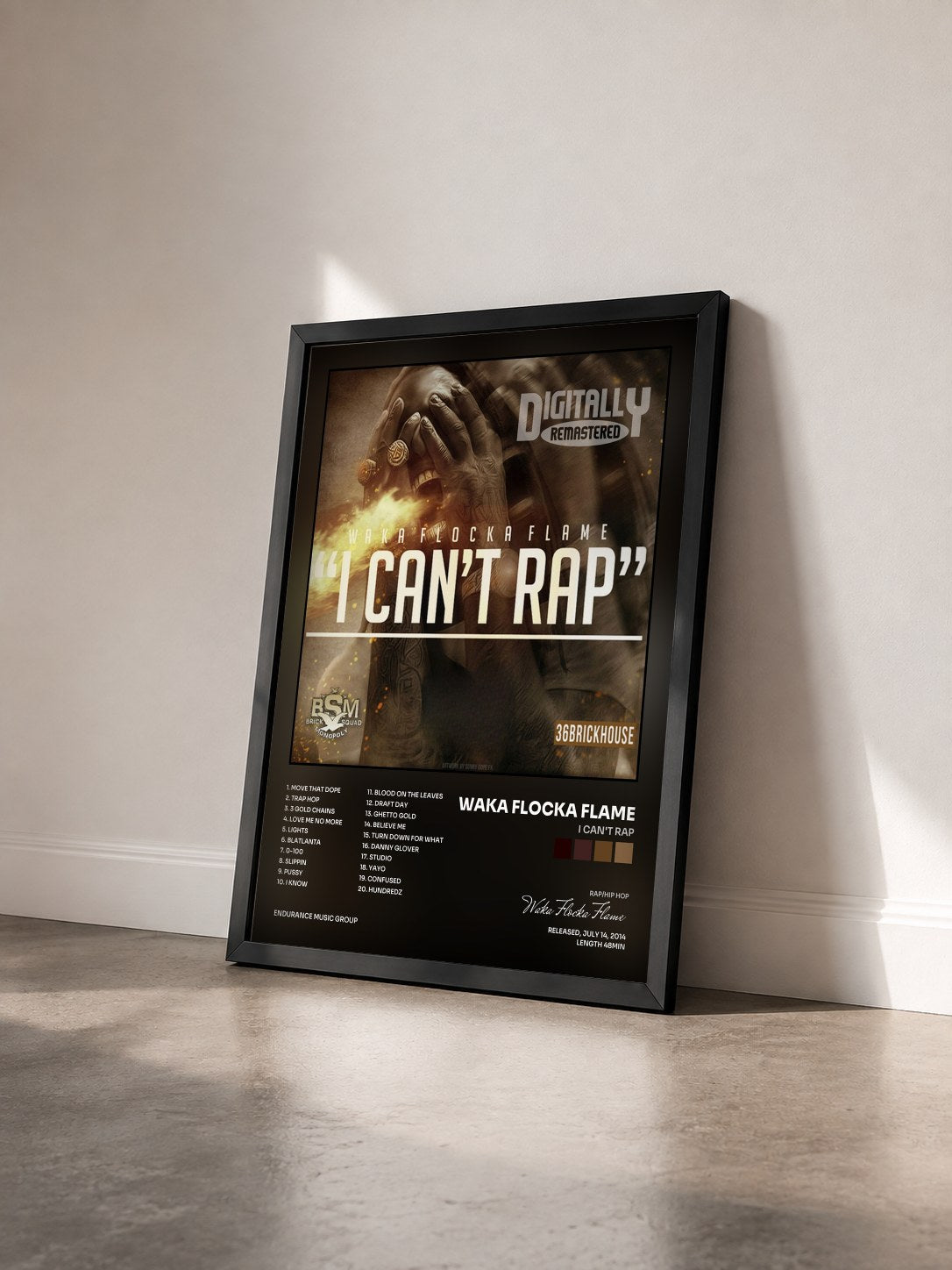 #noir Tableau de l'album I Can't Rap de Waka Flocka Flame vu de trois quarts, cadre noir