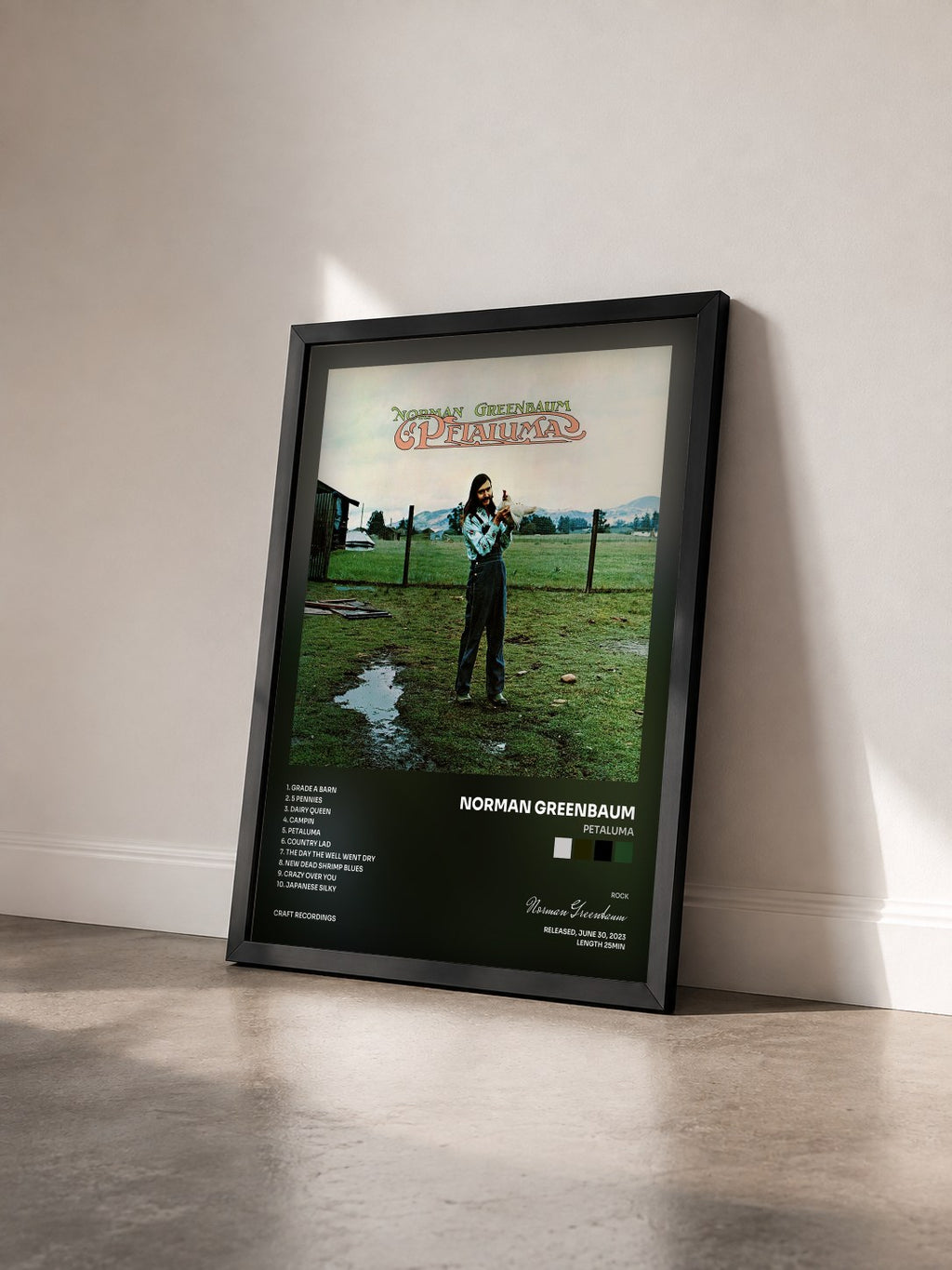 #noir Tableau de l'album Petaluma de Norman Greenbaum vu de trois quarts, cadre noir