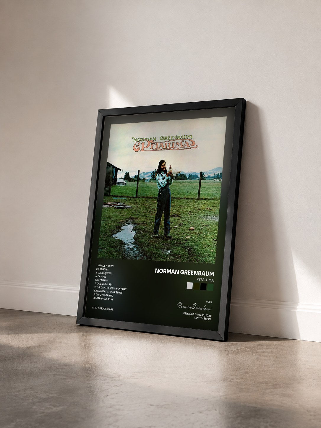 #noir Tableau de l'album Petaluma de Norman Greenbaum vu de trois quarts, cadre noir