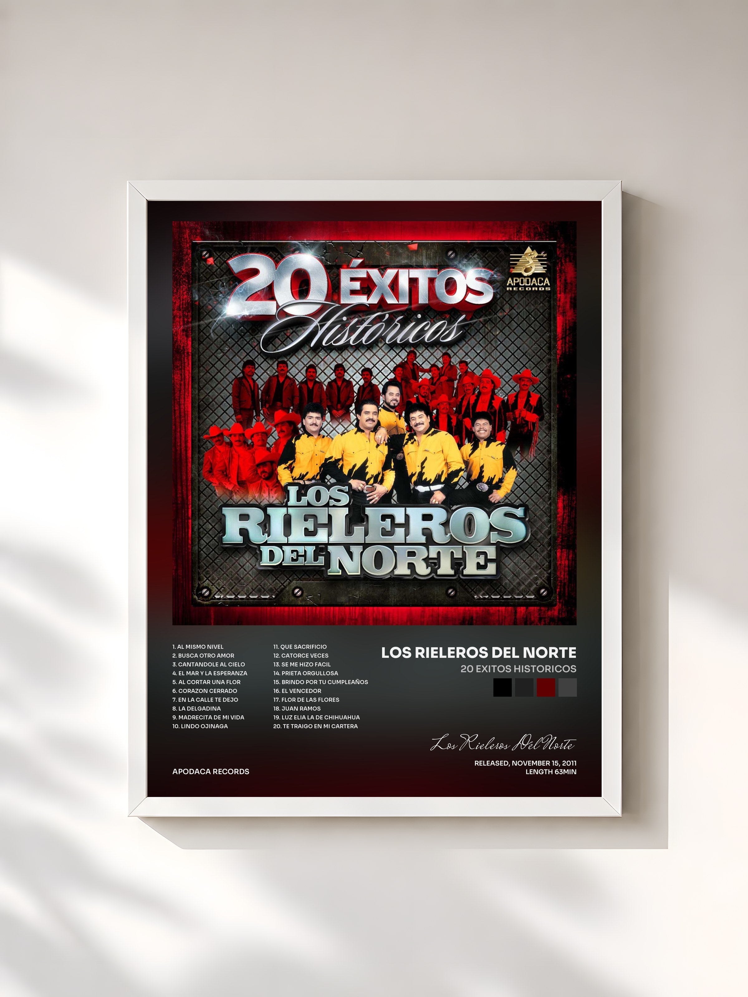 #blanc Tableau de l'album 20 Exitos Historicos de Los Rieleros Del Norte, cadre blanc, imprimé et encadré en France