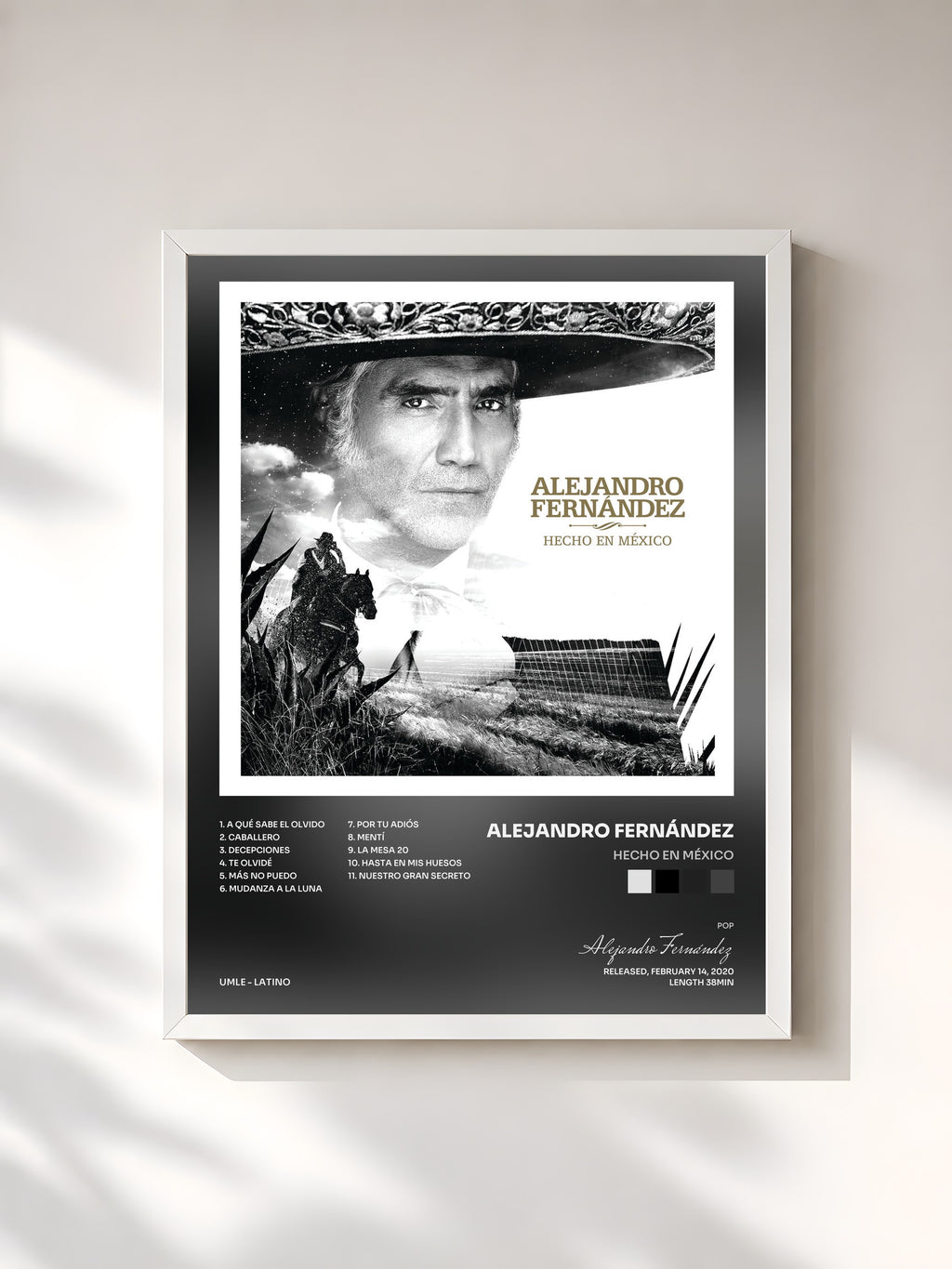 #blanc Tableau de l'album Hecho En México de Alejandro Fernández, cadre blanc, imprimé et encadré en France