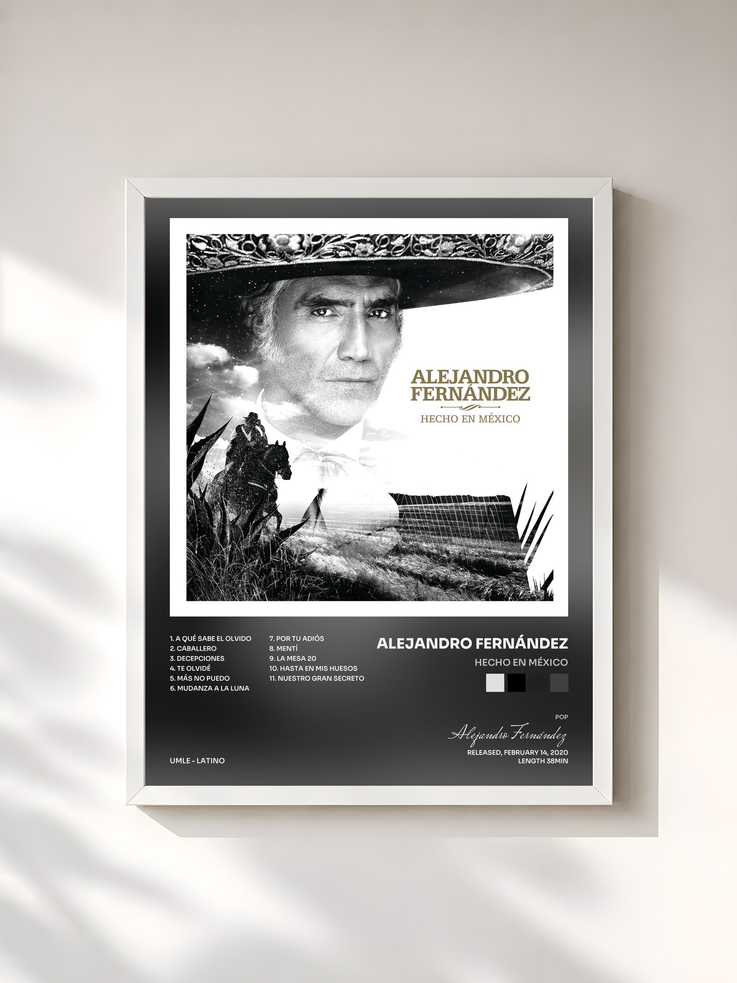 #blanc Tableau de l'album Hecho En México de Alejandro Fernández, cadre blanc, imprimé et encadré en France