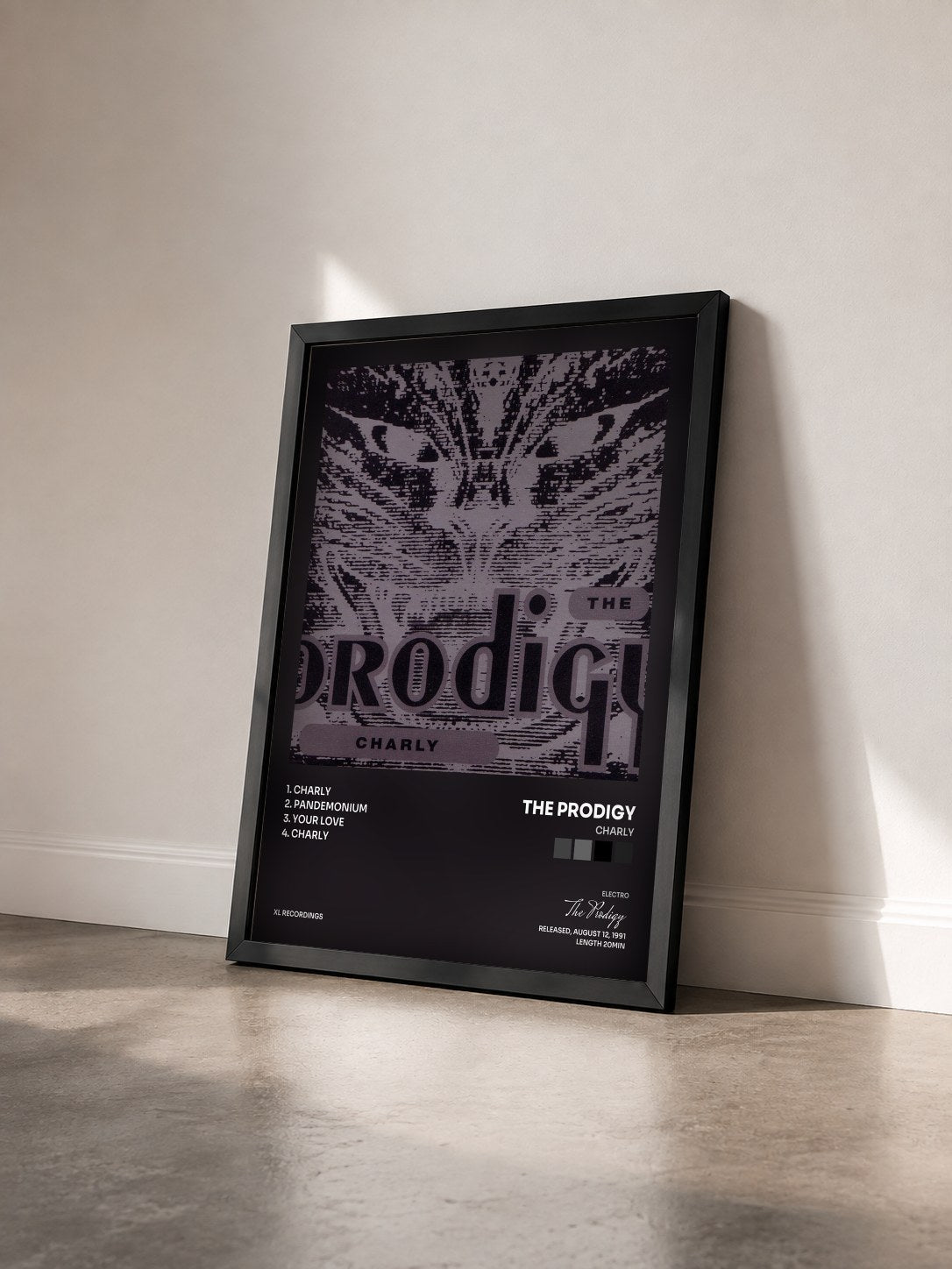 #noir Tableau de l'album Charly de The Prodigy vu de trois quarts, cadre noir