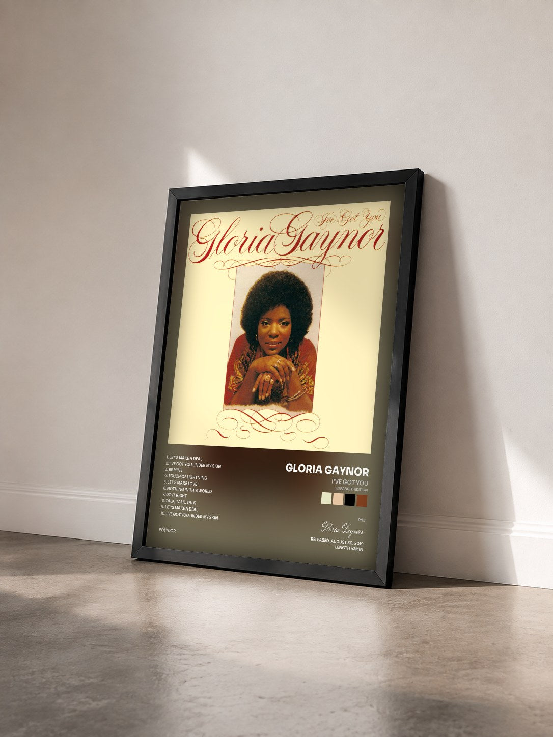#noir Tableau de l'album I've Got You (Expanded Edition) de Gloria Gaynor vu de trois quarts, cadre noir