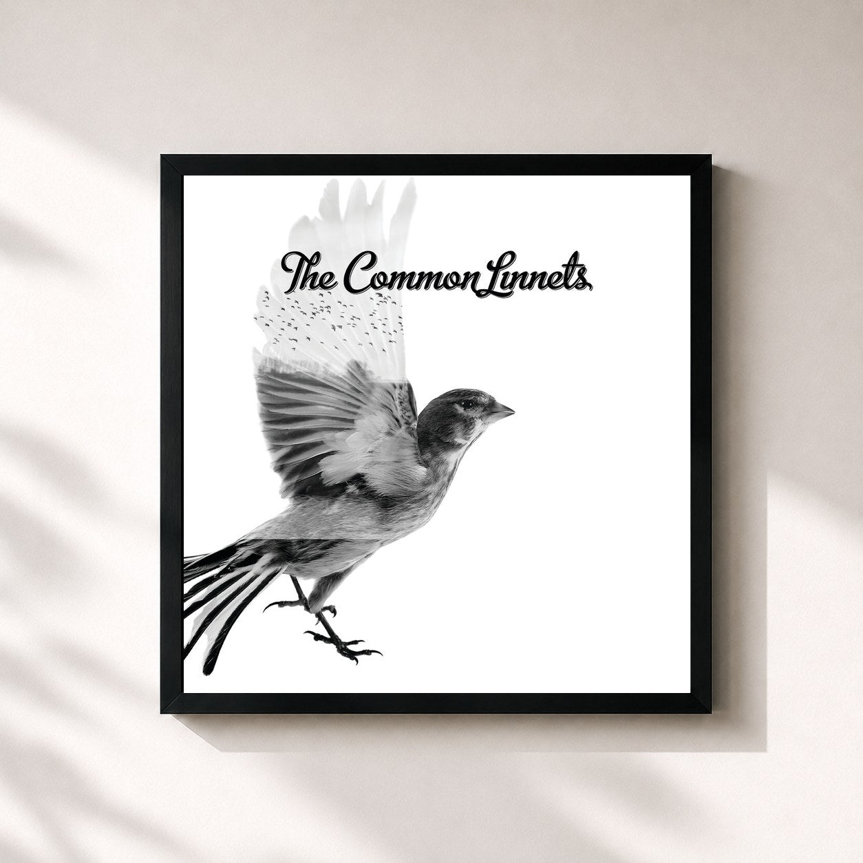 #noir Tableau carré de l'album The Common Linnets (Special Edition) de The Common Linnets, cadre noir 32x32 cm