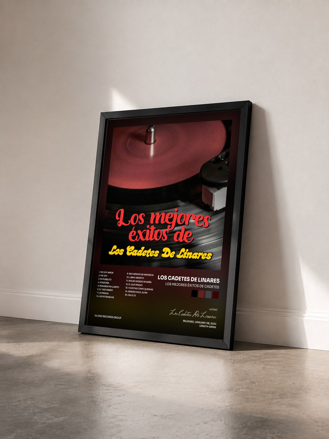 #noir Tableau de l'album Los Mejores Éxitos de Cadetes de Los Cadetes De Linares vu de trois quarts, cadre noir