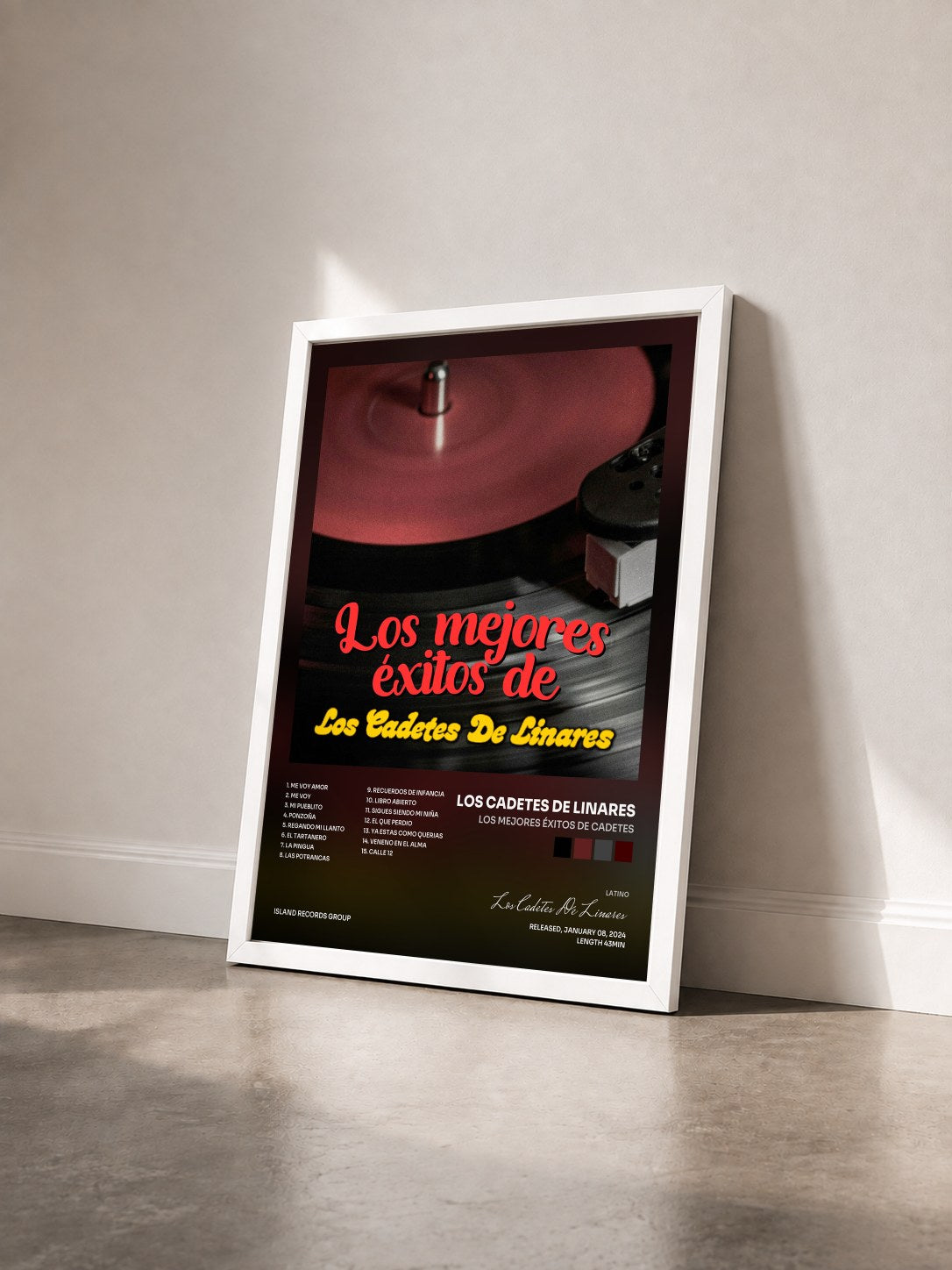 #blanc Tableau de l'album Los Mejores Éxitos de Cadetes de Los Cadetes De Linares vu de trois quarts, cadre blanc