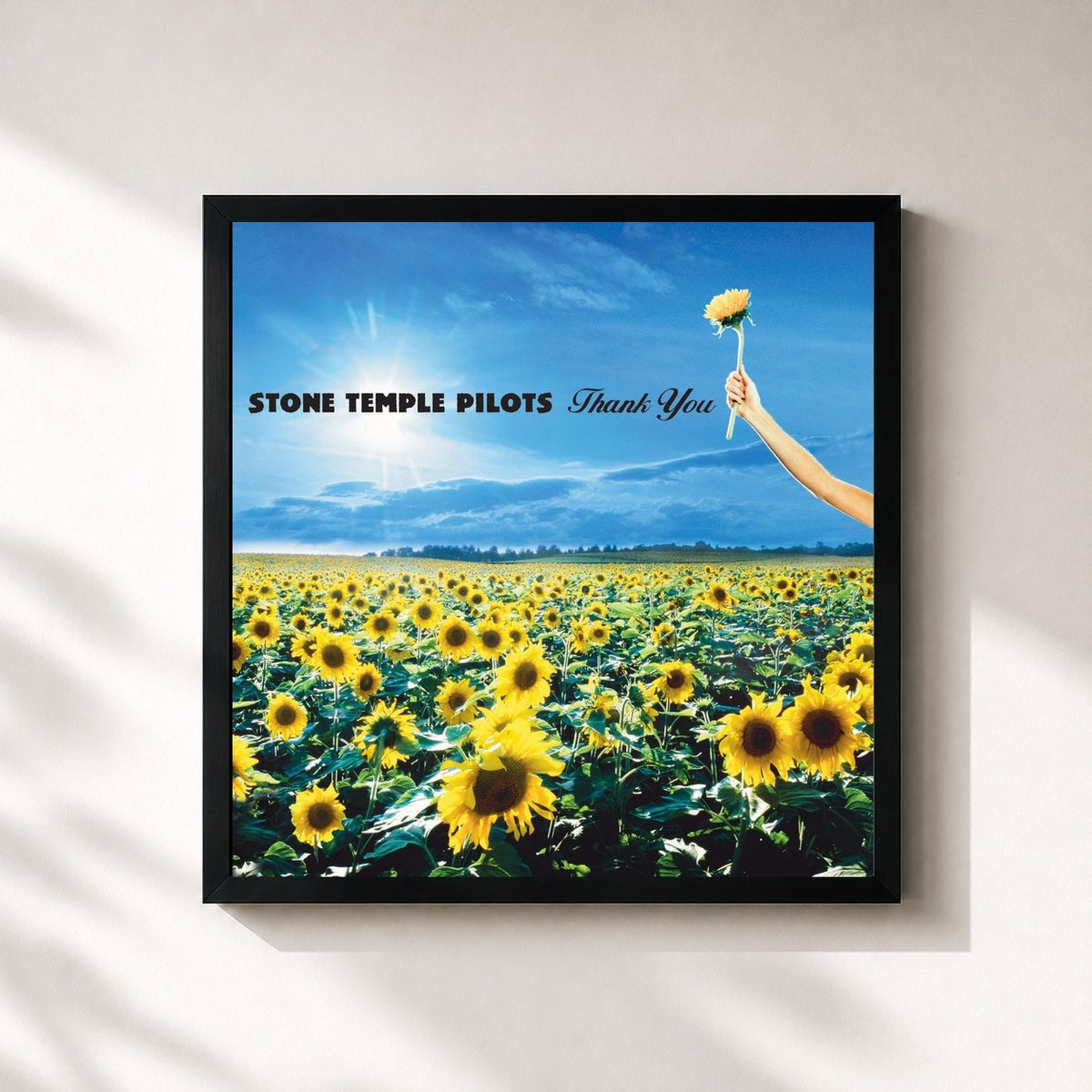 #noir Tableau carré de l'album Thank You de Stone Temple Pilots, cadre noir 32x32 cm