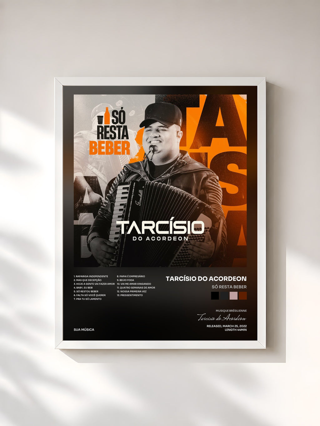 #blanc Tableau de l'album Só Resta Beber de Tarcísio do Acordeon, cadre blanc, imprimé et encadré en France