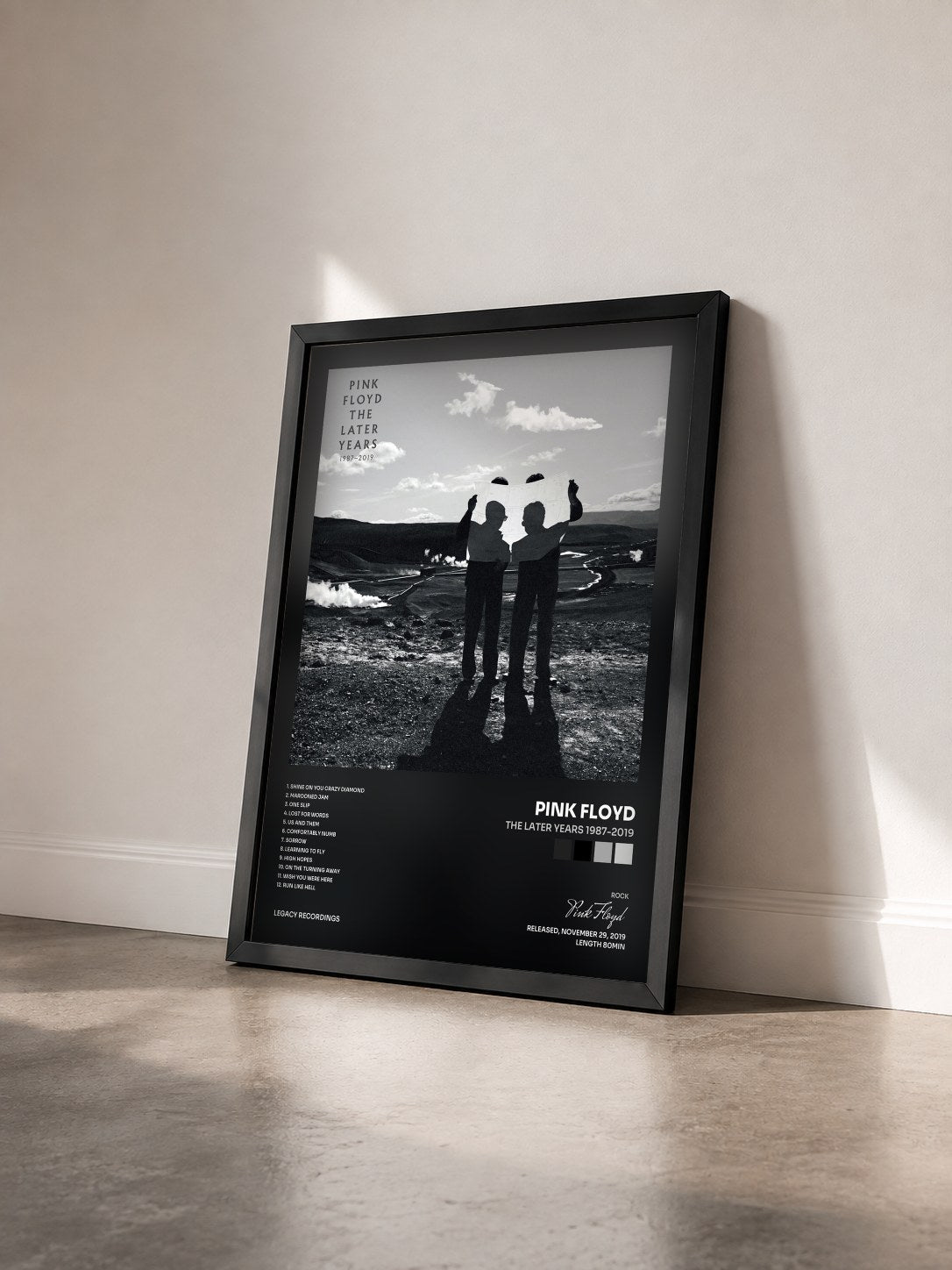 #noir Tableau de l'album The Later Years 1987-2019 de Pink Floyd vu de trois quarts, cadre noir