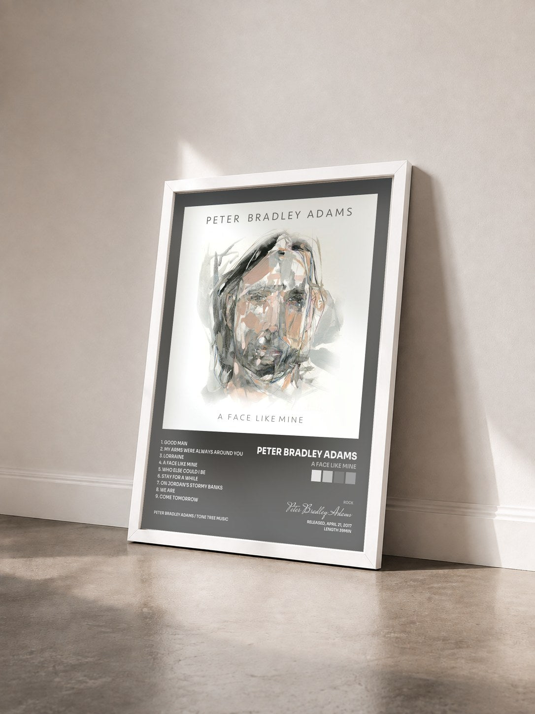 #blanc Tableau de l'album A Face Like Mine de Peter Bradley Adams vu de trois quarts, cadre blanc