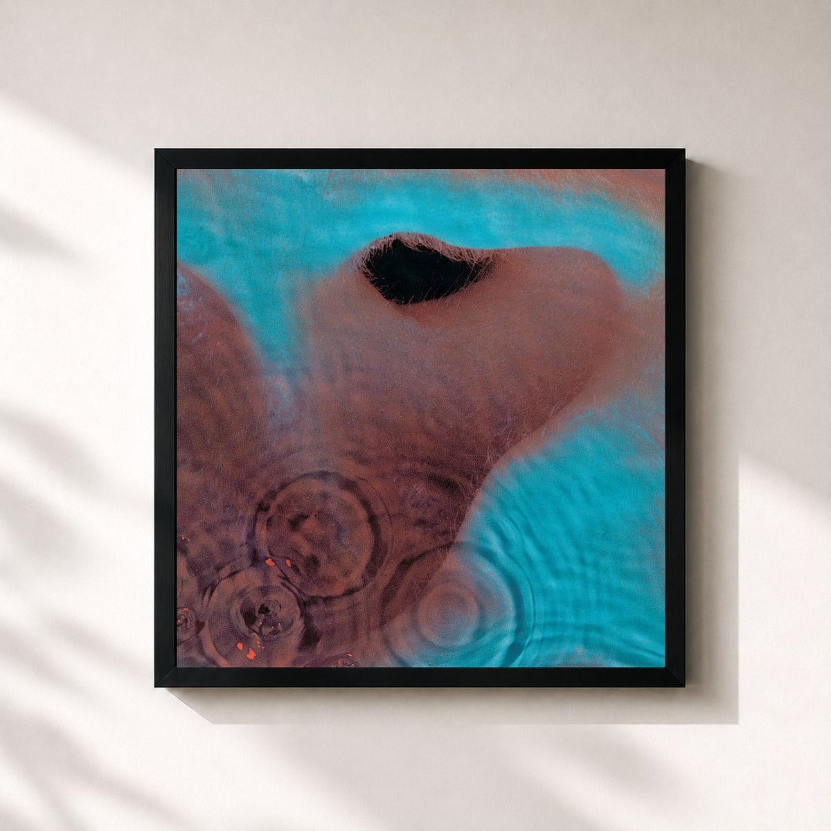 #noir Tableau carré de l'album Meddle de Pink Floyd, cadre noir 32x32 cm