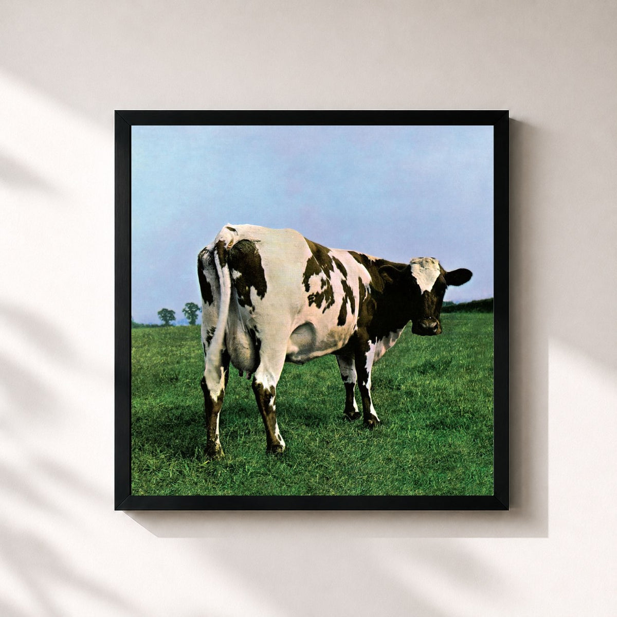 #noir Tableau carré de l'album Atom Heart Mother de Pink Floyd, cadre noir 32x32 cm
