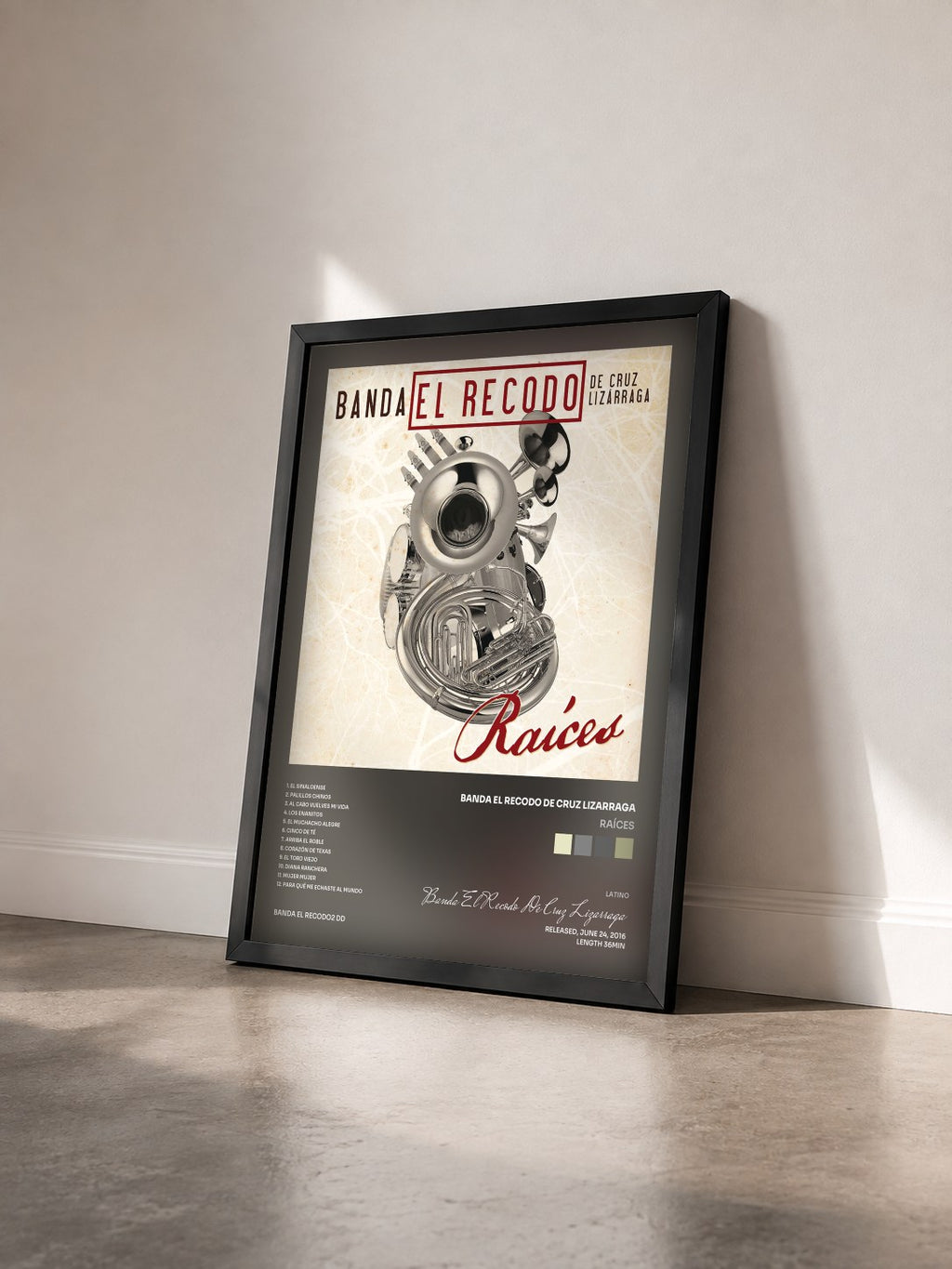 #noir Tableau de l'album Raíces de Banda El Recodo De Cruz Lizarraga vu de trois quarts, cadre noir