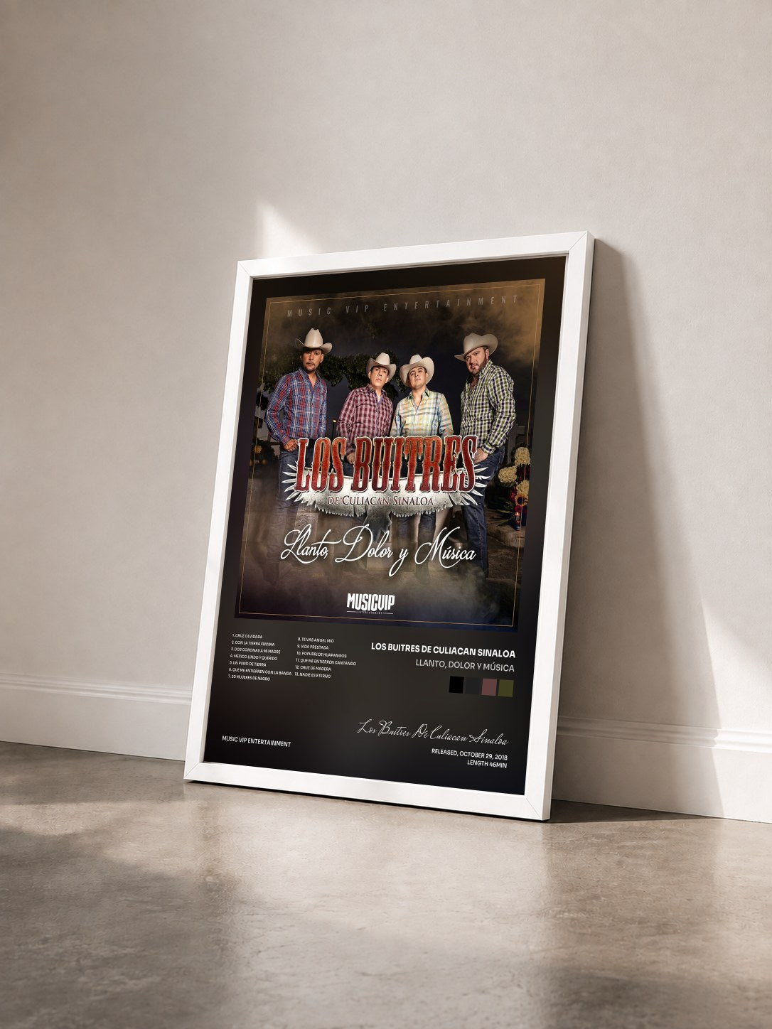 #blanc Tableau de l'album Llanto, Dolor y Música de Los Buitres De Culiacan Sinaloa vu de trois quarts, cadre blanc