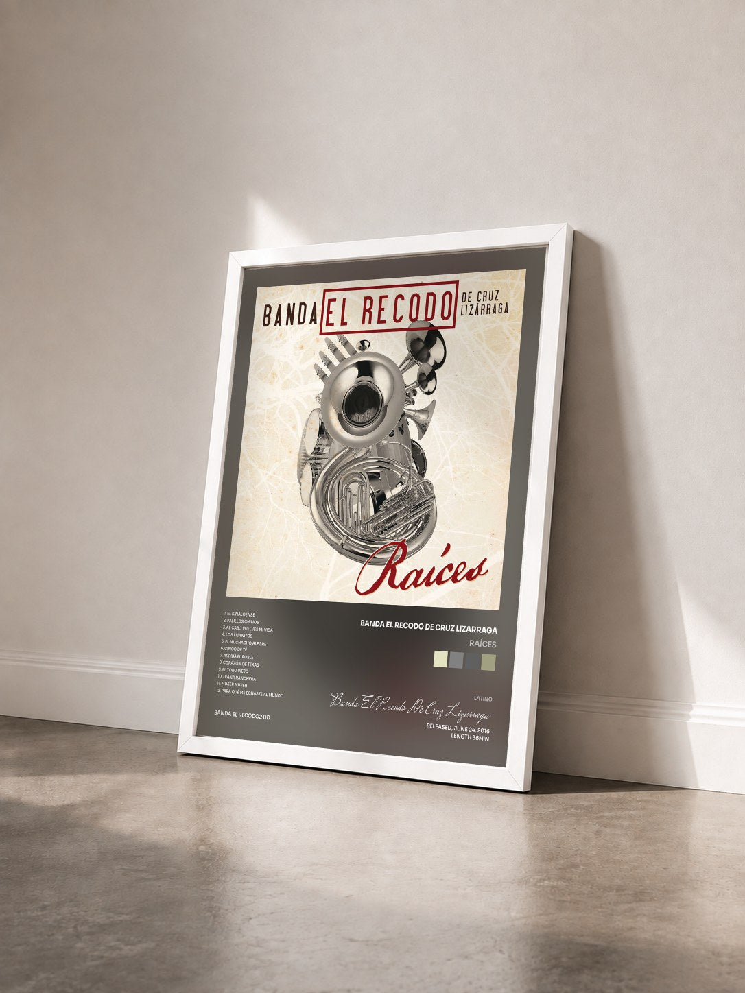 #blanc Tableau de l'album Raíces de Banda El Recodo De Cruz Lizarraga vu de trois quarts, cadre blanc