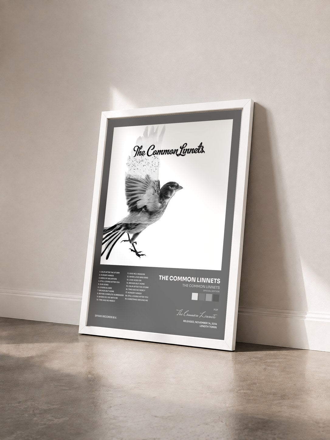 #blanc Tableau de l'album The Common Linnets (Special Edition) de The Common Linnets vu de trois quarts, cadre blanc