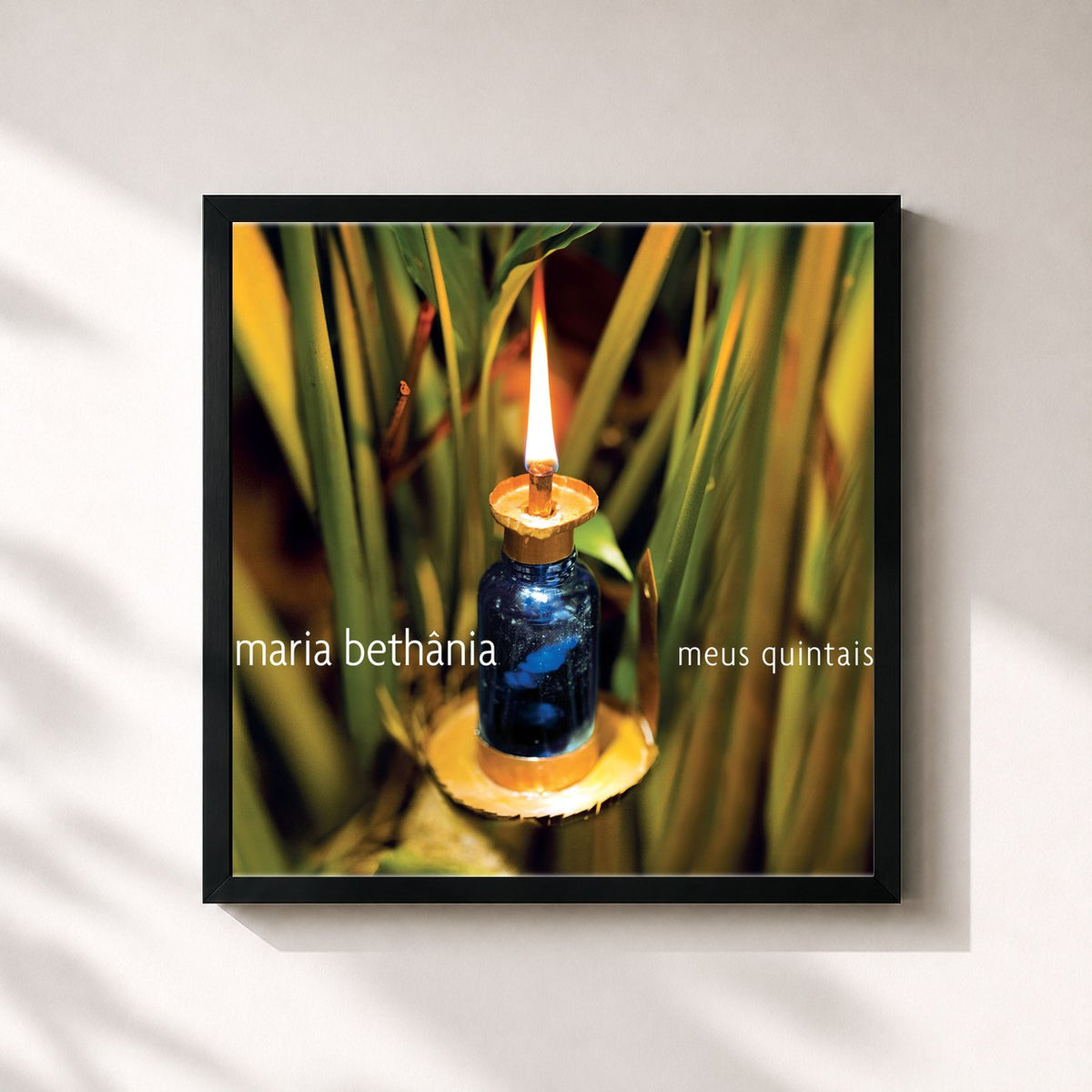 #noir Tableau carré de l'album Meus Quintais de Maria Bethânia, cadre noir 32x32 cm