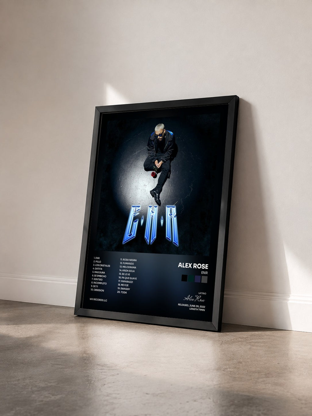 #noir Tableau de l'album ENR de Alex Rose vu de trois quarts, cadre noir