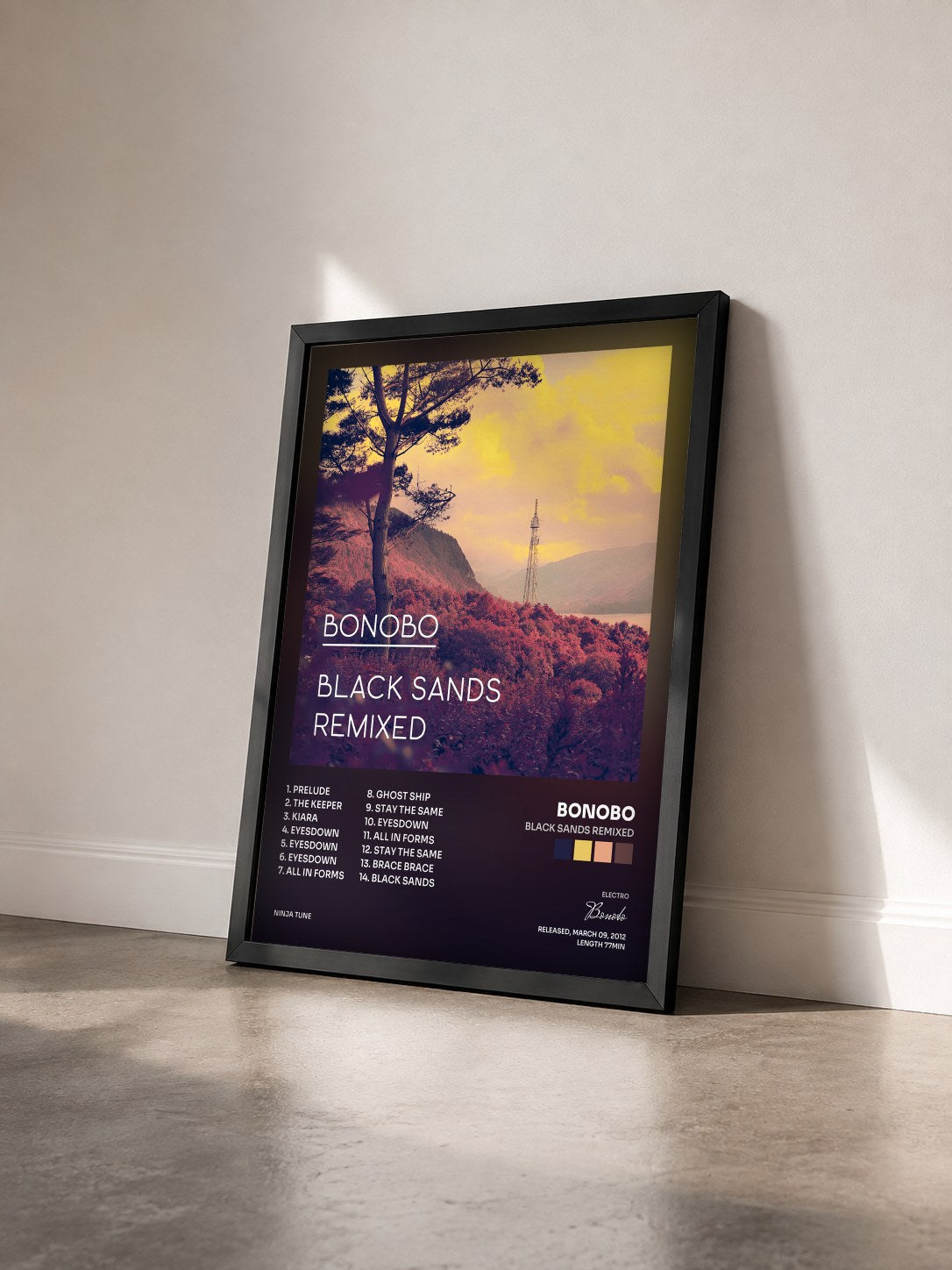 #noir Tableau de l'album Black Sands Remixed de Bonobo vu de trois quarts, cadre noir