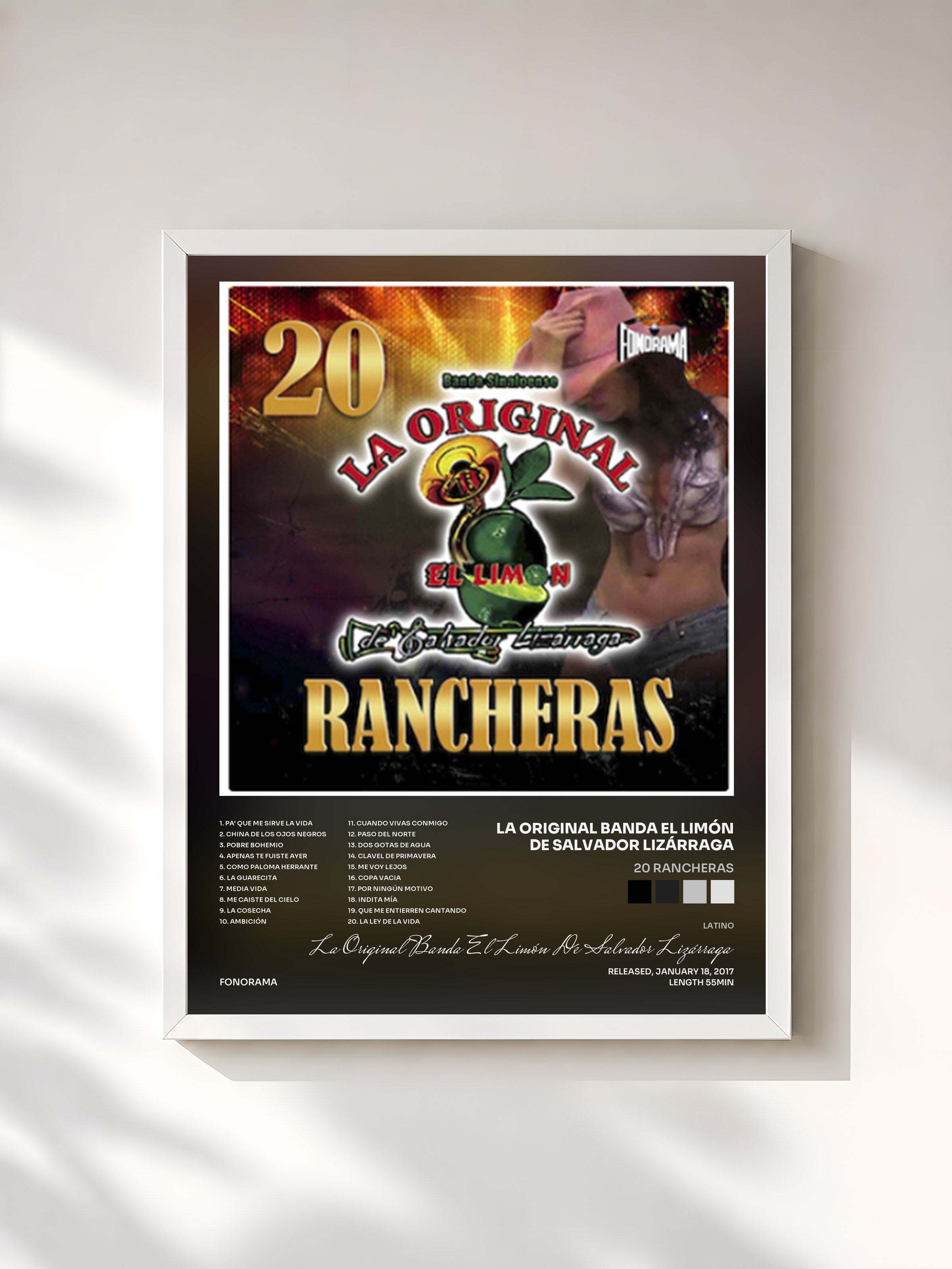 #blanc Tableau de l'album 20 Rancheras de La Original Banda El Limón De Salvador Lizárraga, cadre blanc, imprimé et encadré en France