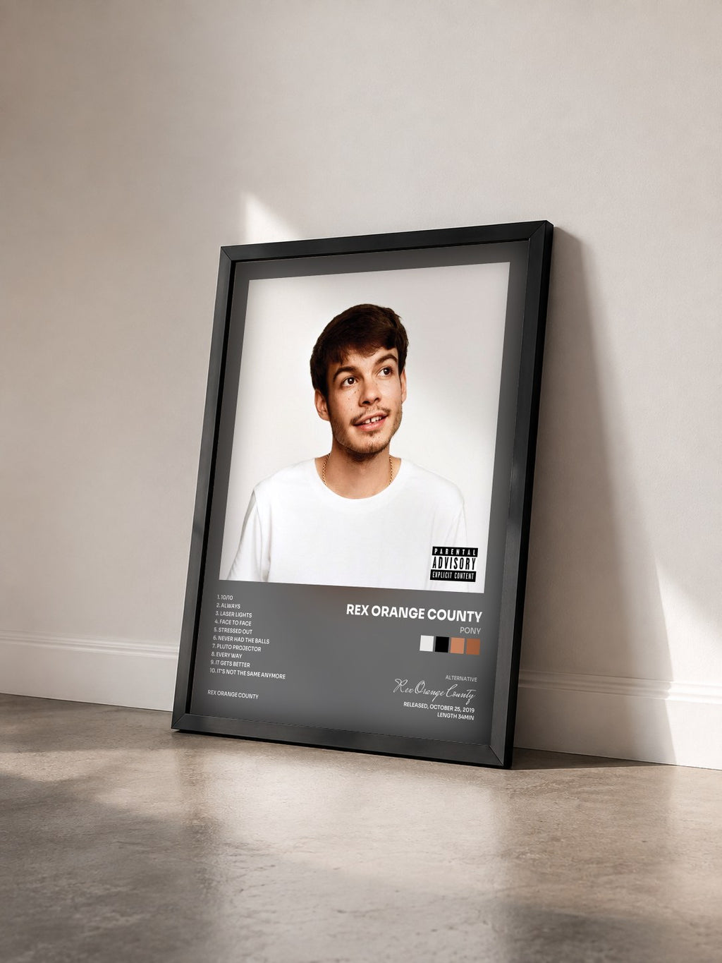 #noir Tableau de l'album Pony de Rex Orange County vu de trois quarts, cadre noir