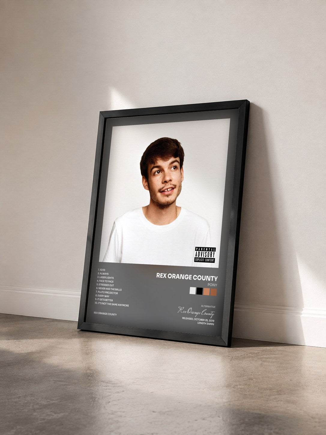 #noir Tableau de l'album Pony de Rex Orange County vu de trois quarts, cadre noir