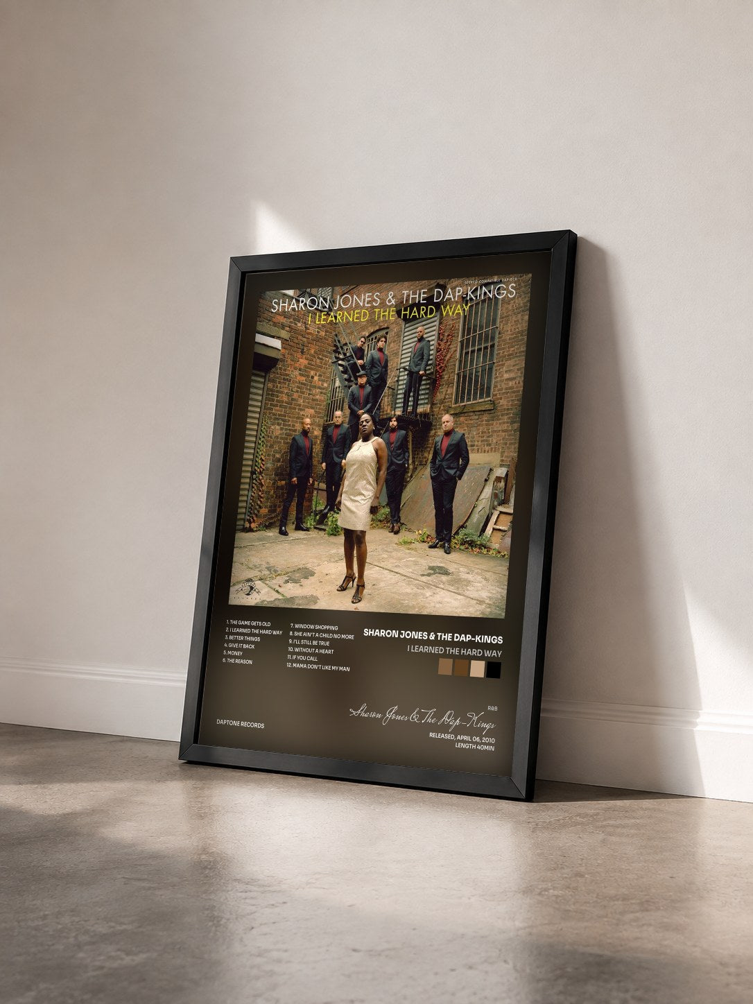 #noir Tableau de l'album I Learned the Hard Way de Sharon Jones & The Dap-Kings vu de trois quarts, cadre noir