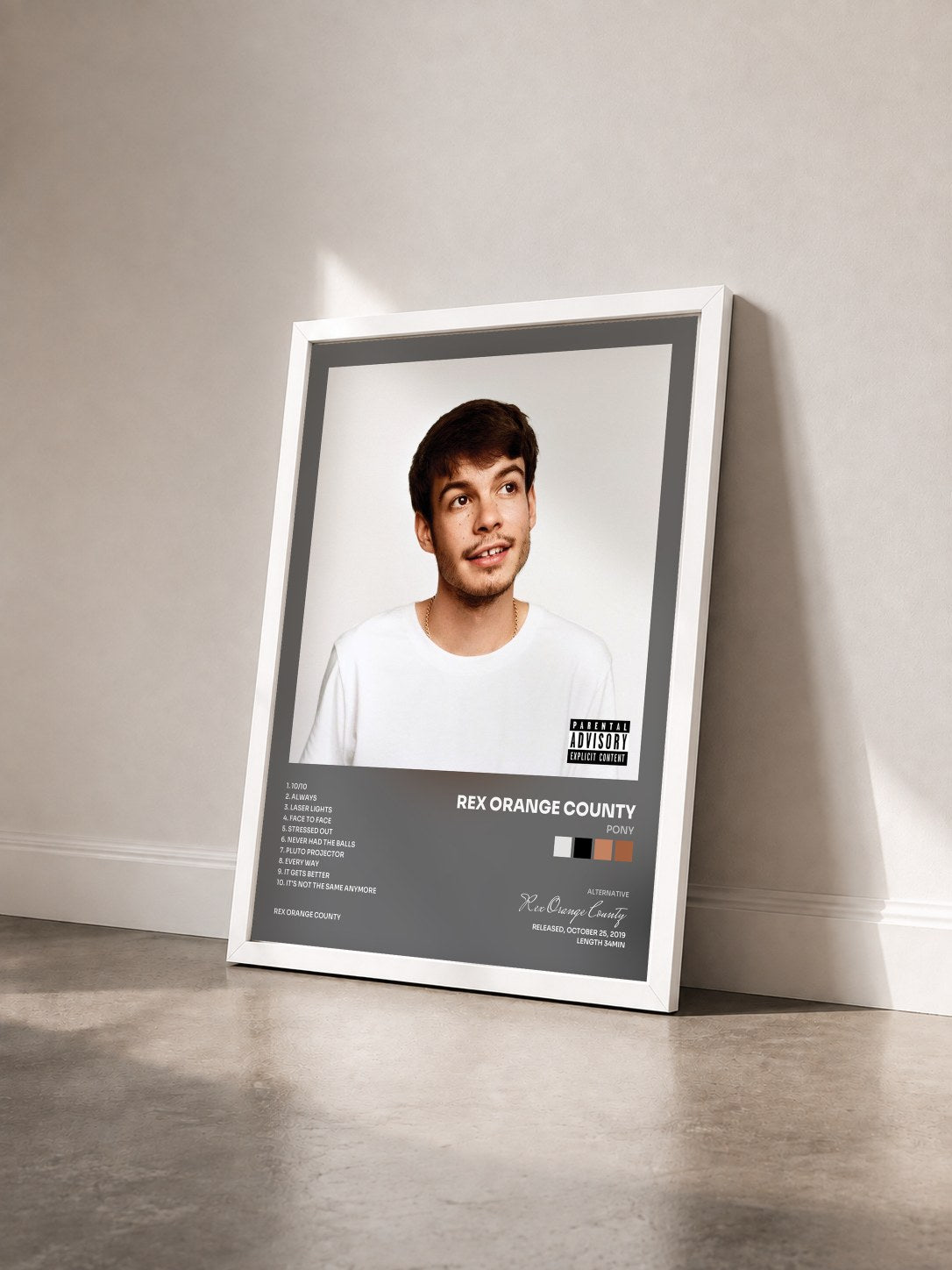 #blanc Tableau de l'album Pony de Rex Orange County vu de trois quarts, cadre blanc